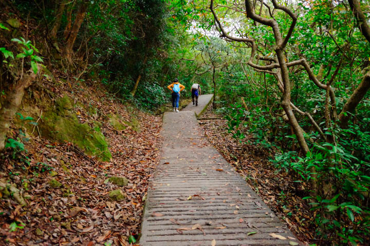 Concrete surface stretches throughout the ascent and descent between Tai Long and Chek Keng